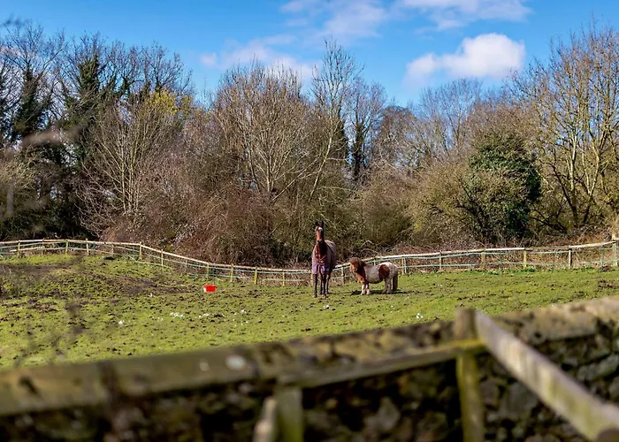 Holiday home 3 Bed In Bedale 91574