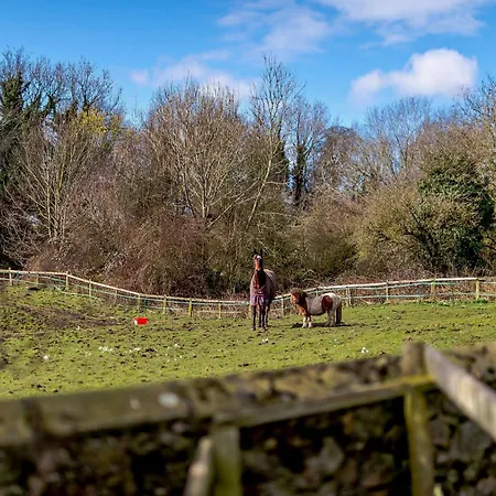 Semesterbostad 3 Bed In Bedale 91574